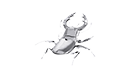 Picture for Arthropods
