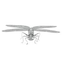 metal earth bugs - dragonfly 1