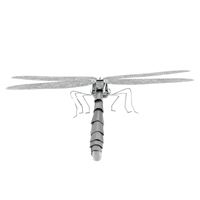 metal earth bugs - dragonfly 4