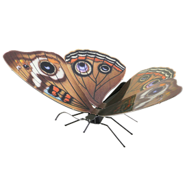 metal earthe  Butterflies - buckeye