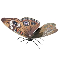 metal earthe  Butterflies - buckeye 1