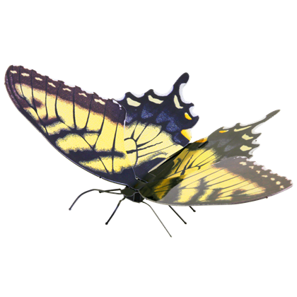 metal earth butterflies - tiger swallowtail