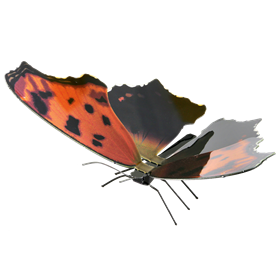Fascinations Metal Earth Butterfly 3D Steel Model NEW Monarch 