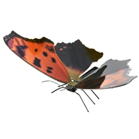 metal earth  butterflies - eastern comma 1