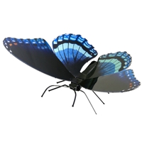 Metal Earth bugs - Red Spotted Purple 1