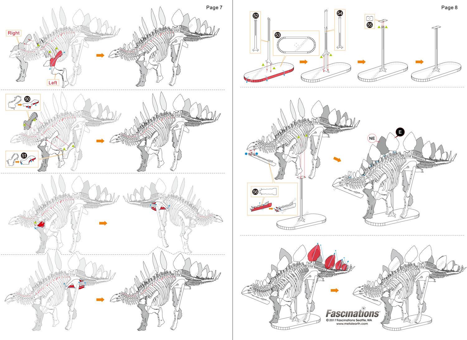 stegosaurus skeleton model