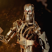 The Terminator T-800