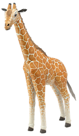 373730_6