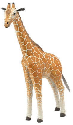 Giraffe 