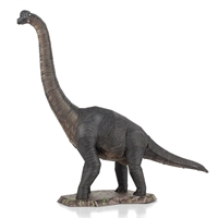 Brachiosaurus 