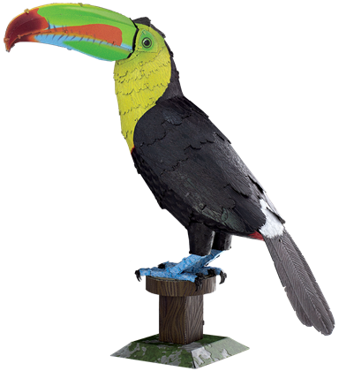 Keel-billed Toucan