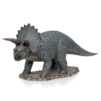 Triceratops