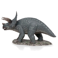 Triceratops
