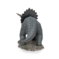 Triceratops