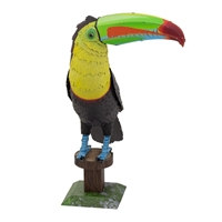 Keel-billed Toucan	