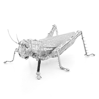 Grasshopper