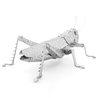 Grasshopper