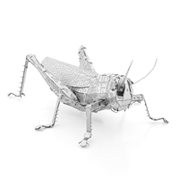 Grasshopper
