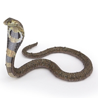 Cobra