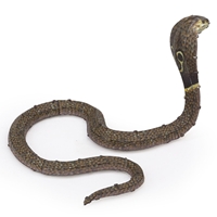 Cobra
