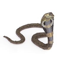 Cobra