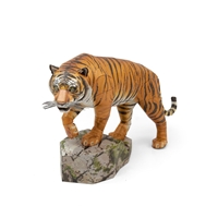 Bengal Tiger	