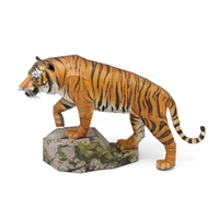 Bengal Tiger	