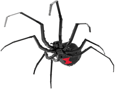Black Widow Spider