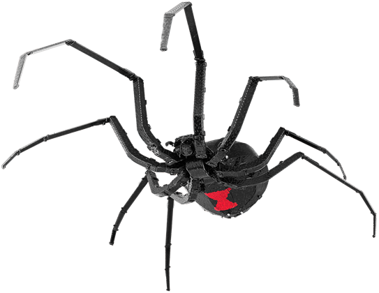 Black Widow Spider