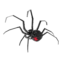 Black Widow Spider - Metal Earth