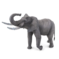  African Elephant 