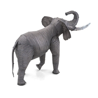  African Elephant 