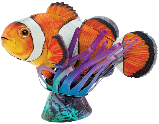 Clownfish