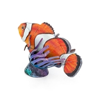 Clownfish