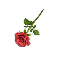 Red Rose