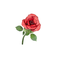 Red Rose