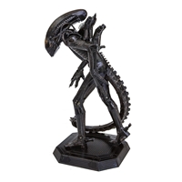 Xenomorph