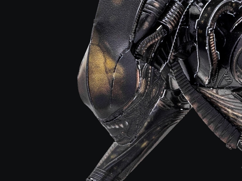 Xenomorph details